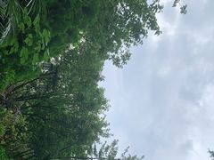 -南诏风情岛