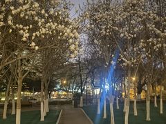 -天津五大道文化旅游区