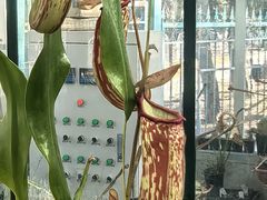 -国家植物园南园