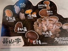 -芸山季·云南野生菌火锅(人民广场来福士店)