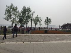 -武清南湖绿博园