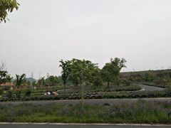 -扬州天乐湖嬉乐谷