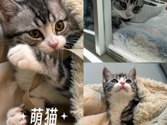 -北京清河万象汇