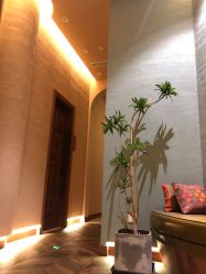 -娇玫荟SPA