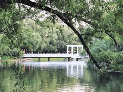 景点-龙沙公园