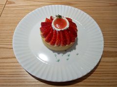 -猫里有甜