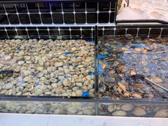 -川骄海鲜自助(河东店)