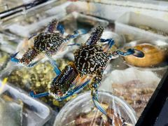 -鸿旺海鲜楼(平潭流水店)