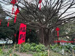 -南宁南湖公园