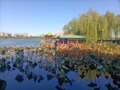 -济南大明湖景区