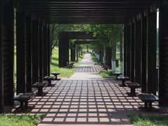 -洋湖国家湿地公园