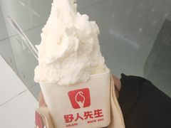 -野人先生现做冰淇淋(北京王府井东方新天地店)