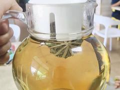 -墨脱石锅椰子鸡•香草鸭•东山羊(大东海店)