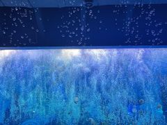 -波塞冬海底世界