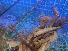 -鹅香四海·卤水火锅·砂锅粥·潮汕菜(宝安店)