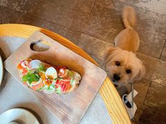 -THE CANNERY&JUJU 新鲜海鲜·牛排美食酒廊