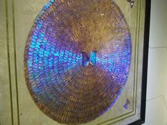 -上海昆虫博物馆