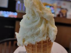 -野人先生现做冰淇淋(北京环宇荟店)