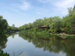 -新江湾城公园