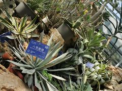 -国家植物园南园