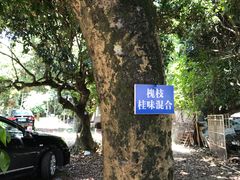 -竹泉农庄·竹筒饭(从化店)