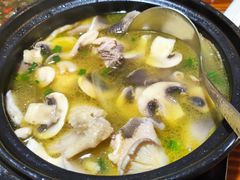 农家老鹅煲-呼吸森林·生态农庄农家乐私房菜