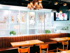 -猫小院猫主题餐厅(三里屯店)