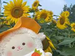 -名创优品(北京新中关购物中心地铁层店)