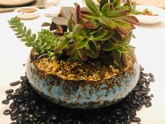 -T館·花园艺术餐厅