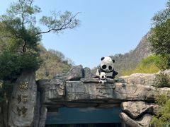 -柳州市动物园