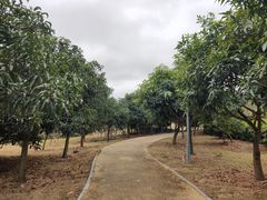 -中国移动南方基地