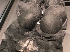 -Victoria's Secret(苏州中心全品类店)