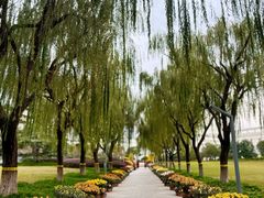 -上海大学(宝山校区)
