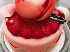-哈根达斯(西安北郊店)