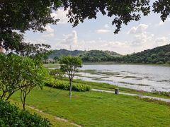 -风云岭森林公园