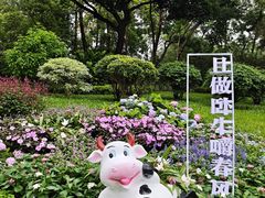-云溪植物园