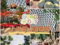 -上海辰山植物园