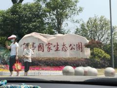 -官亭林海