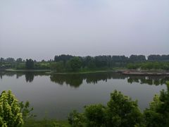 -东郊湿地公园