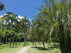 -中国科学院西双版纳热带植物园