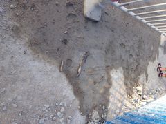 金棕榈酒店-三亚亚龙湾金棕榈度假酒店