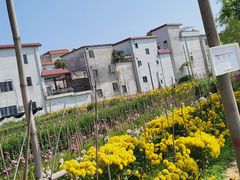 -欢姐伦教糕(北海大道北店)