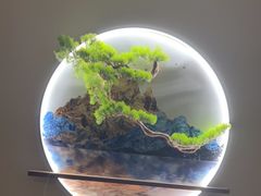 -耳域躺式采耳SPA馆(新街口店)