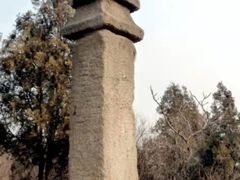 -白水寺森林公园