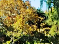 -静安公园(静安寺街道)