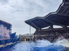 -上海海昌海洋公园