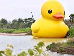 -深圳湾公园(南山区)