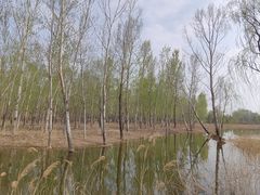 -野鸭湖国家湿地公园