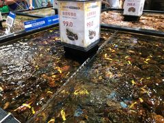 -盒马鲜生(皇庭广场店)