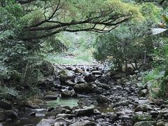 -广州市石门国家森林公园